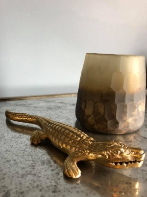 Metal Croc Image