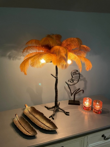 Palma Feather Lamp Image