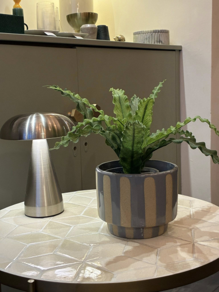 Grey Stripe Plant Pot Image