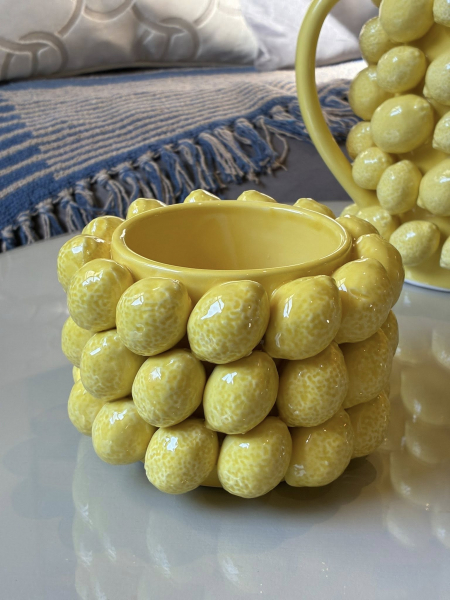 Handmade Lemons Plant Pot Image