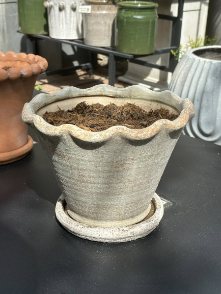 Cream Wave Plant Pot Image