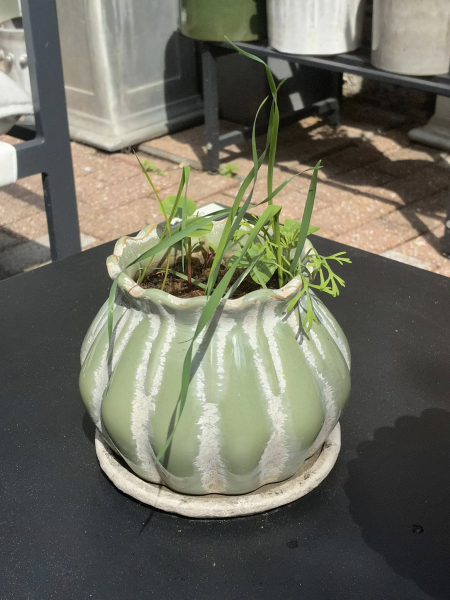 Green Plant Pot Image