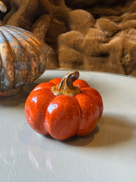 Ceramic Pumpkin Image