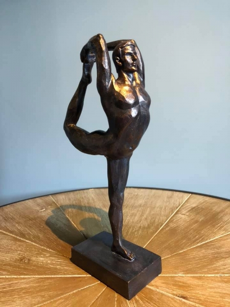 Yoga Man Image