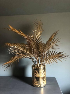 Champagne Palm Image