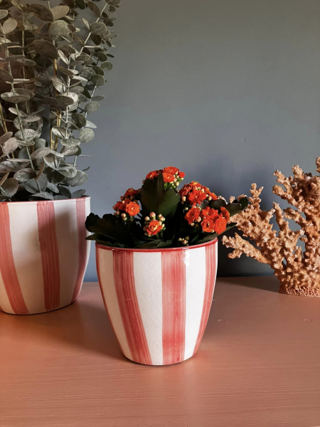 Hand Painted Stripe Pot Coral S Image
